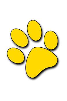 UMBC Paw