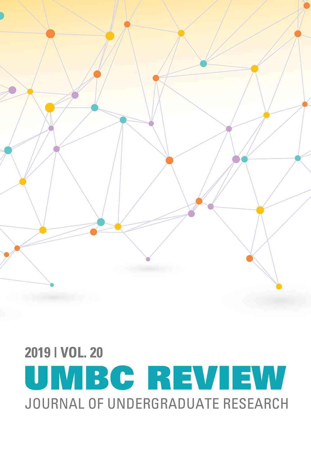 UMBC Review 2020 cover