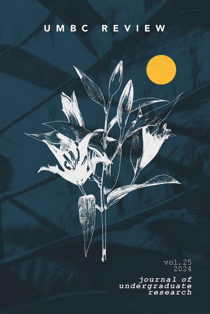 The cover for the UMBC Review depicts a wildflower on a dark background