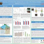 This is an image of a presentation poster for the engineering major; it contains a descriptive of the student's abstract and imagry that supports the research. This image is decorative.